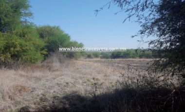 TERRENO EN VENTA EN TEQUISQUIAPAN moy