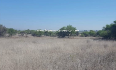 TERRENO EN VENTA EN TEQUISQUIAPAN moy