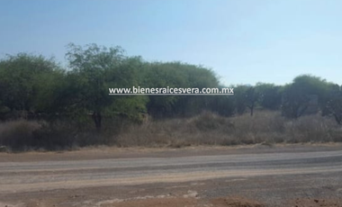 TERRENO EN VENTA EN TEQUISQUIAPAN moy