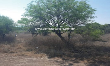 TERRENO EN VENTA EN TEQUISQUIAPAN moy