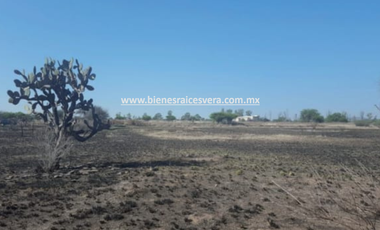 TERRENO EN VENTA EN TEQUISQUIAPAN moy