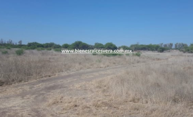 TERRENO EN VENTA EN TEQUISQUIAPAN moy