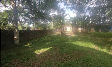 VENDO TERRENO EN LA CHORRERA BARRIO COLÓN EL CHORRO 600MTS