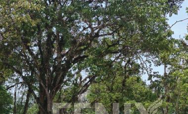 Venta de terrenos en Fraccionamiento Residencial en Coatepec