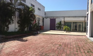 OFICINAS EN RENTA COL LIMONAR