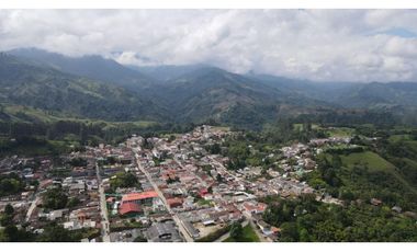 SE VENDE LOTE EN EL MUNICIPIO DE SALENTO