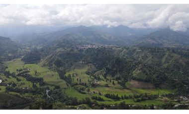 SE VENDE LOTE EN EL MUNICIPIO DE SALENTO