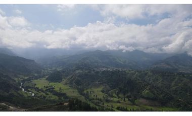 SE VENDE LOTE EN EL MUNICIPIO DE SALENTO