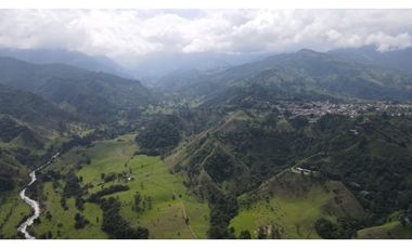 SE VENDE LOTE EN EL MUNICIPIO DE SALENTO