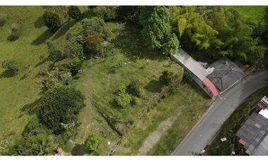 SE VENDE LOTE EN EL MUNICIPIO DE SALENTO