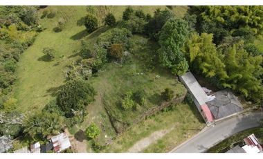 SE VENDE LOTE EN EL MUNICIPIO DE SALENTO