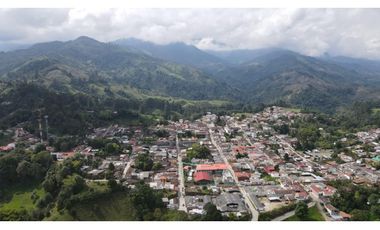 SE VENDE LOTE EN EL MUNICIPIO DE SALENTO