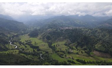 SE VENDE LOTE EN EL MUNICIPIO DE SALENTO