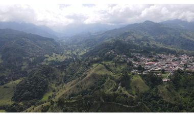 SE VENDE LOTE EN EL MUNICIPIO DE SALENTO