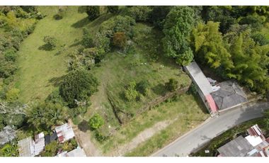 SE VENDE LOTE EN EL MUNICIPIO DE SALENTO