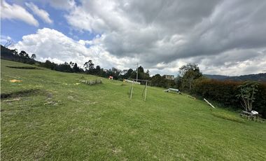 SE ARRIENDA CASA/LOTE RESTAURANTE ALTO LAS PALMAS / 8000 m²