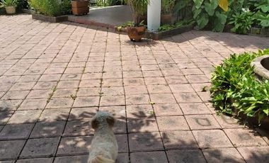 Casa Sola en Burgos Temixco - CRB-1155-Cs