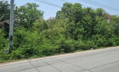 Land for sale in Don Khoi, Nakhon Pathom