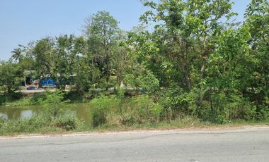 Land for sale in Don Khoi, Nakhon Pathom