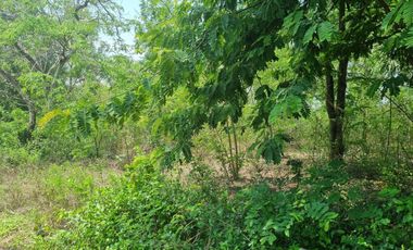 Land for sale in Don Khoi, Nakhon Pathom
