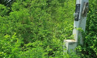 Land for sale in Don Khoi, Nakhon Pathom