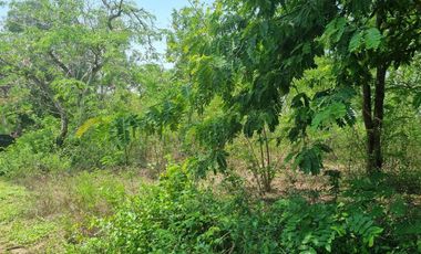 Land for sale in Don Khoi, Nakhon Pathom