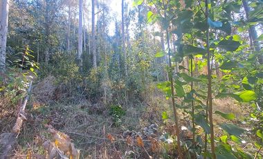 Parcela en Venta en Kilometro 16,5 camino Pedregoso