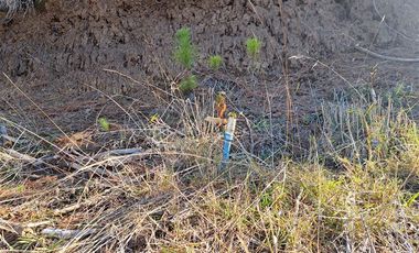 Parcela en Venta en Kilometro 16,5 camino Pedregoso