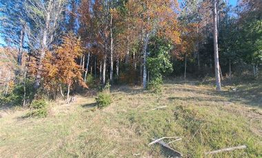 Parcela en Venta en Kilometro 16,5 camino Pedregoso