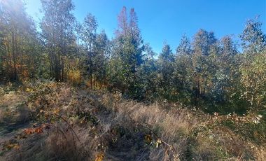 Parcela en Venta en Kilometro 16,5 camino Pedregoso