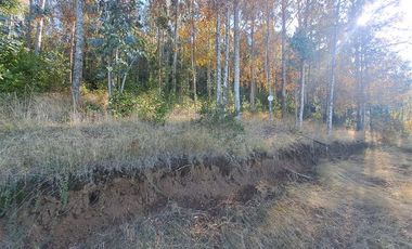 Parcela en Venta en Kilometro 16,5 camino Pedregoso