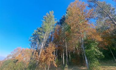 Parcela en Venta en Kilometro 16,5 camino Pedregoso