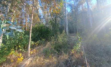 Parcela en Venta en Kilometro 16,5 camino Pedregoso