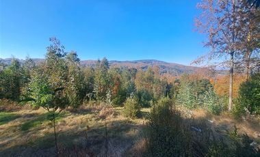 Parcela en Venta en Kilometro 16,5 camino Pedregoso