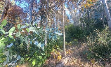 Parcela en Venta en Kilometro 16,5 camino Pedregoso