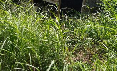 FINCA en VENTA en La Mesa La Mesa-VIA SAN JAVIER