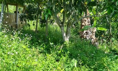 FINCA en VENTA en La Mesa La Mesa-VIA SAN JAVIER