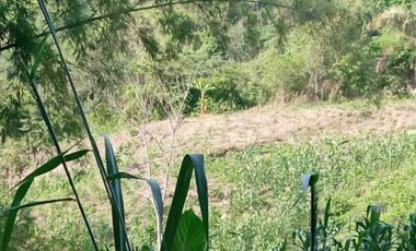 FINCA en VENTA en La Mesa La Mesa-VIA SAN JAVIER