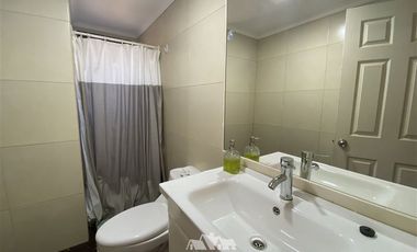 Parcela en Arriendo en Fundo La Punta