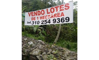LOTE EN MESITAS DEL COLEGIO DE UNA HECTAREA