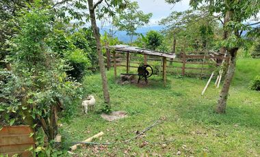 LOTE EN MESITAS DEL COLEGIO DE UNA HECTAREA