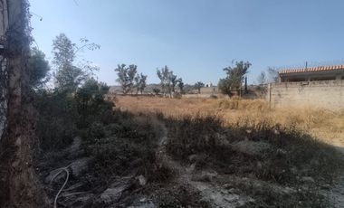 Terreno Industrial en Renta de 7,234 m2 en San Martín de las Flores, Jalisco