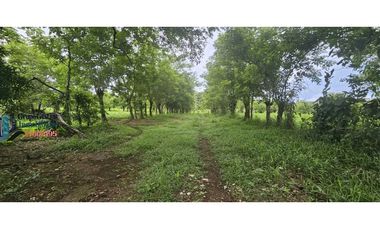 VENDO 14000 METROS EN.URB SAN ANTONIO