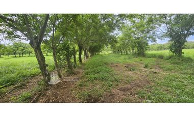 VENDO 14000 METROS EN.URB SAN ANTONIO