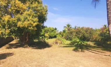2 Bedroom House for sale in San Sai Luang, Chiang Mai
