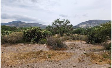 Terreno San Juan TIlcuautla, mpio. de San Agustín Tlaxiaca, Hgo.