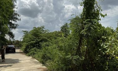 Land for sale in Nong Pak Long, Nakhon Pathom