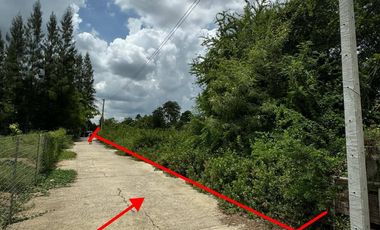 Land for sale in Nong Pak Long, Nakhon Pathom