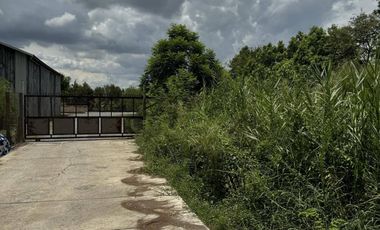 Land for sale in Nong Pak Long, Nakhon Pathom