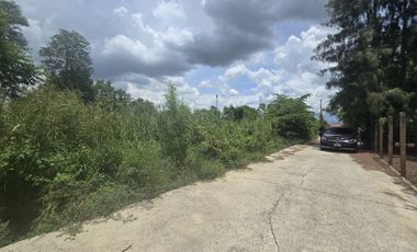 Land for sale in Nong Pak Long, Nakhon Pathom